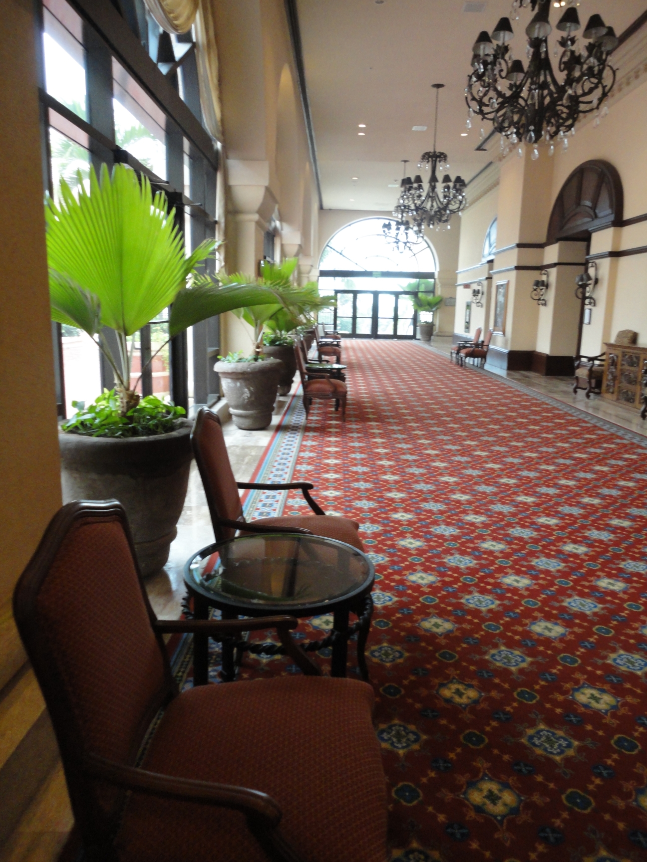 a room with large potted plants and chairs