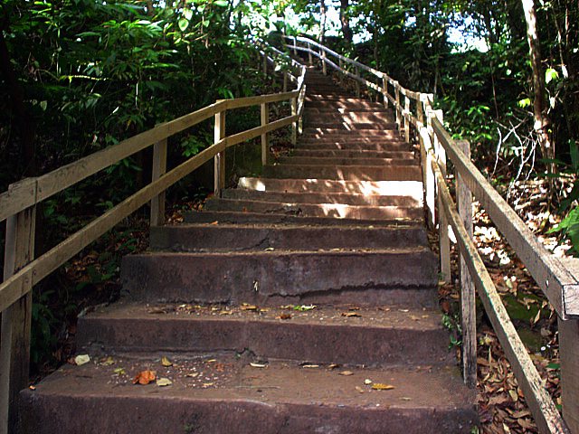 this is steps leading to the top of a small hill