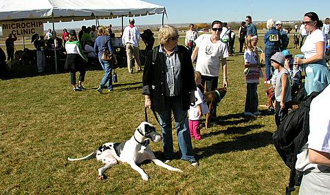 people walking and walking around a field with a dog on leash