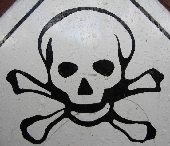 a close up of a sign with a skull and crossbones