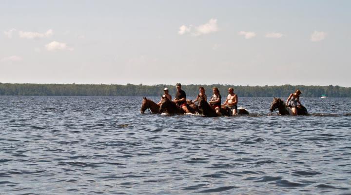 the group of people are enjoying riding their horses in the water