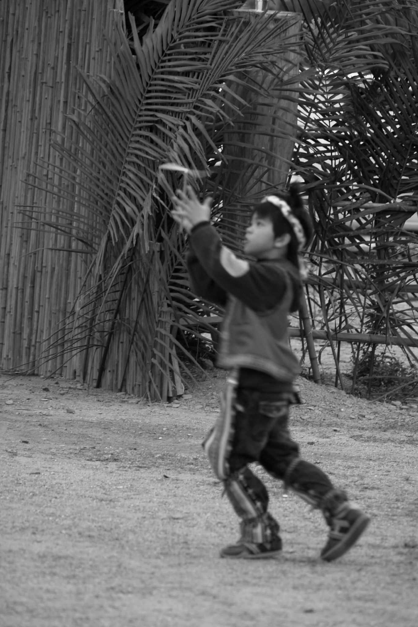 a little boy catching a frisbee that is in the air