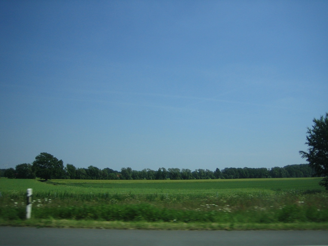 a wide open field with trees behind it