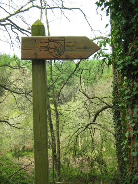 a wooden sign pointing to the right