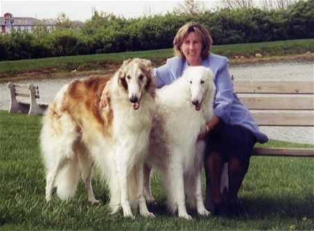 woman sitting on bench with three dogs by her side