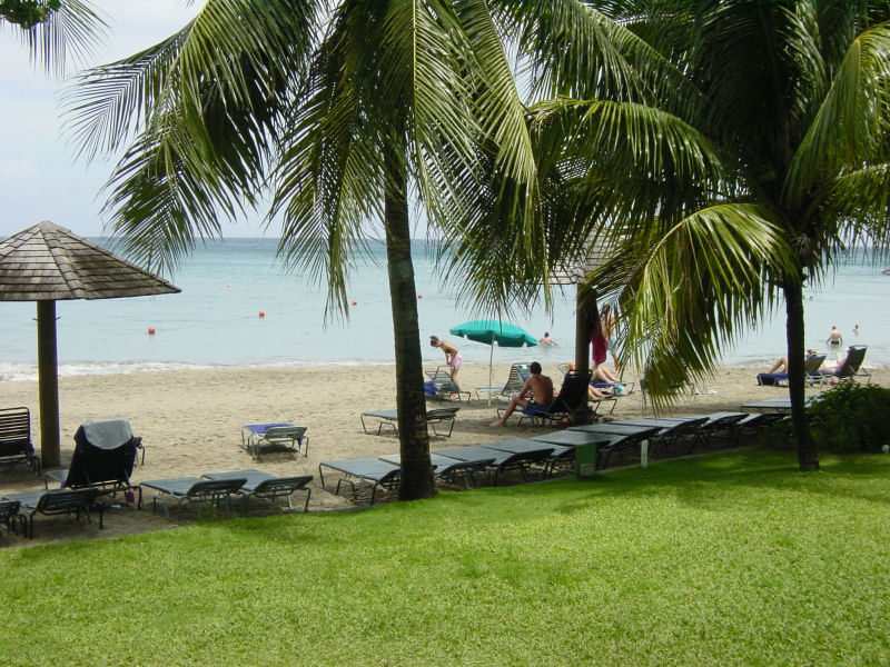 beach scene with people sitting and standing under trees