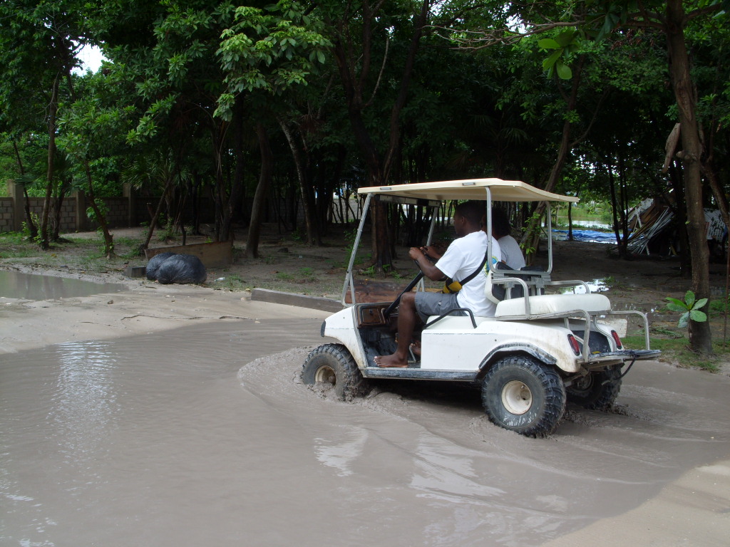 an individual riding in a cart in the water with trees