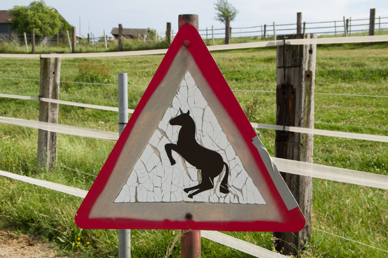 a sign about horse crossing on a country road