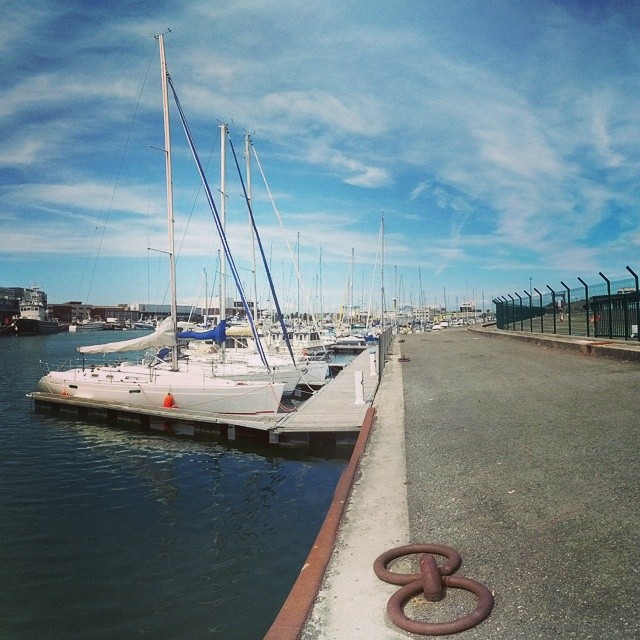 boats in the water docked in a marina