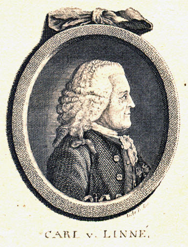 an antique portrait of thomas jefferson