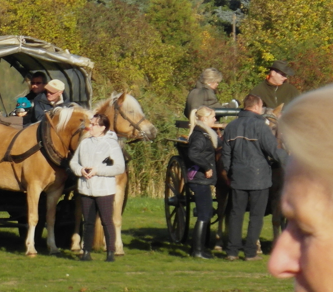 several people standing around a brown horse and carriage