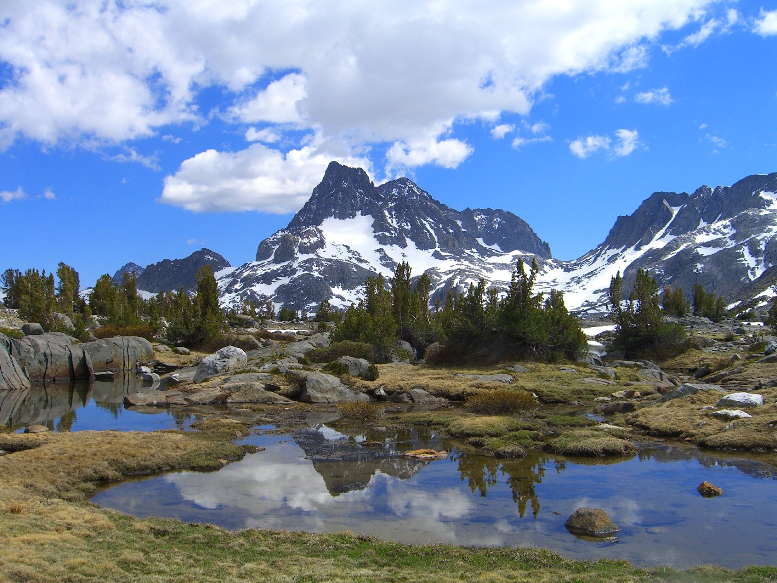 several rocks and trees, with snow covered mountains in the background