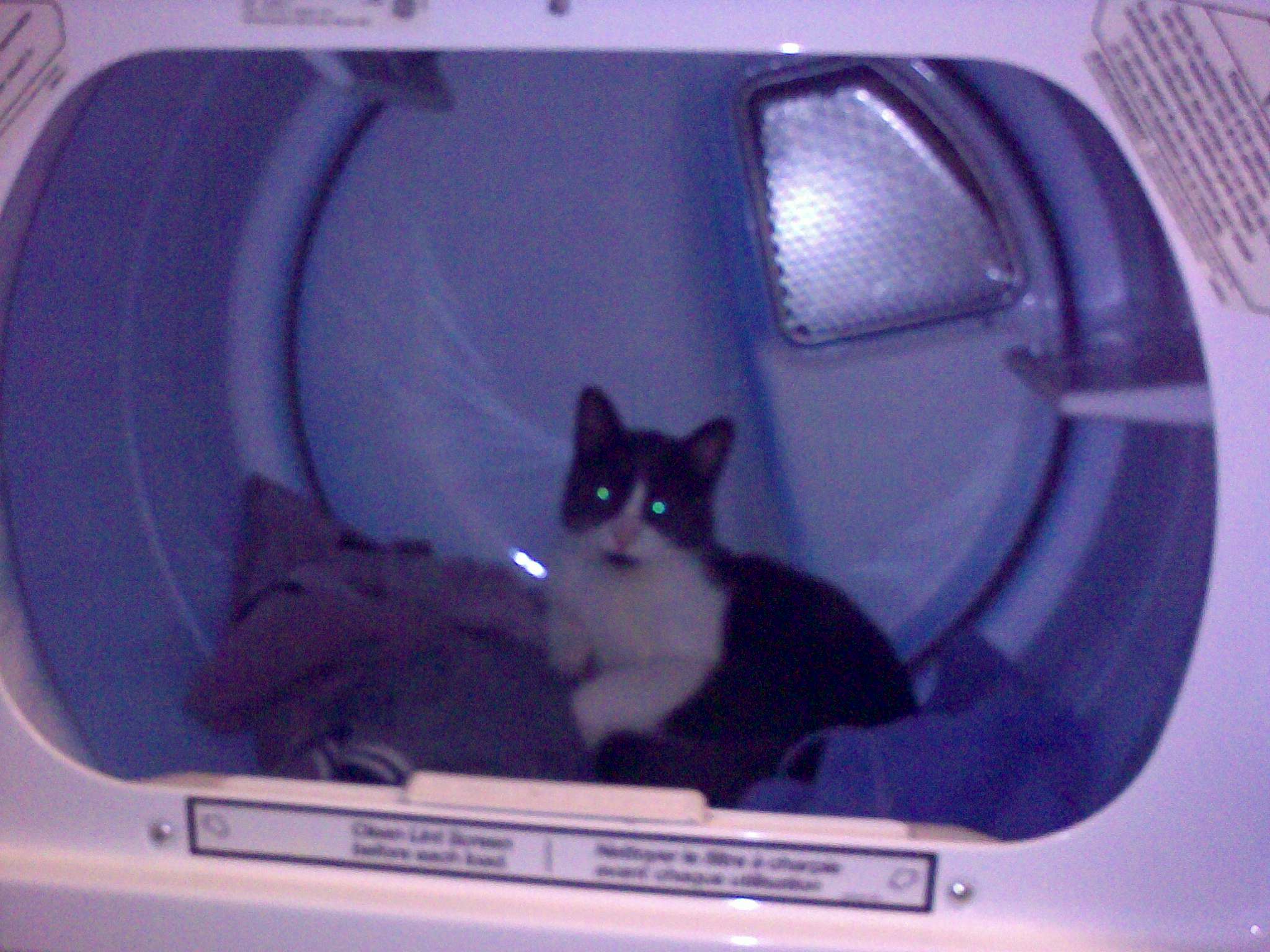 a black and white cat in the back of a washer