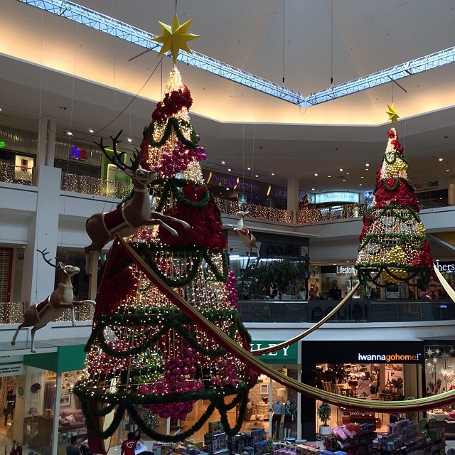 the store is decorated with christmas lights and christmas tree decorations