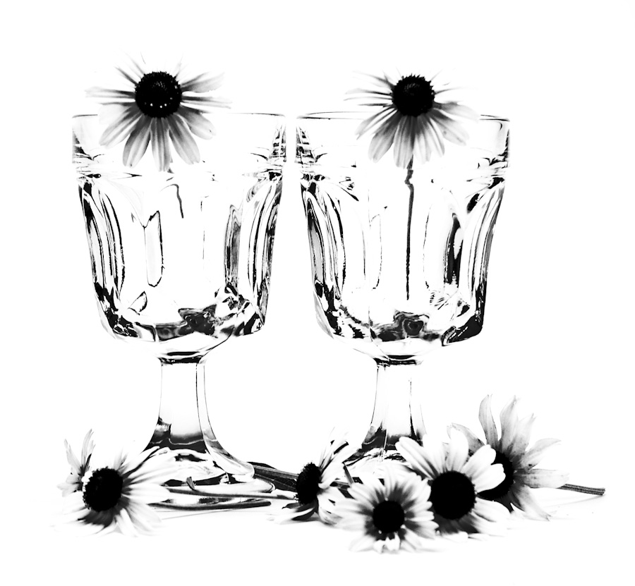 the sunflowers are in the glasses with black petals