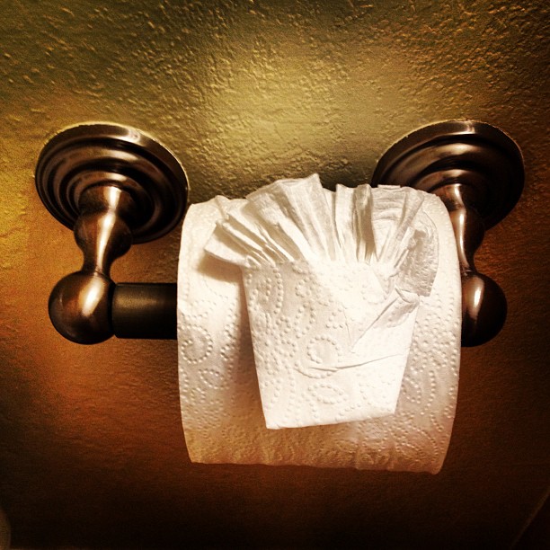 a close up of a tissue on a metal towel holder