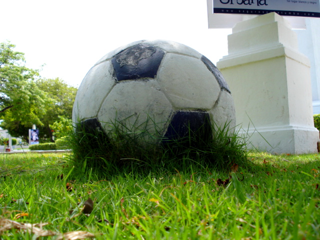 soccer ball in the grass with the street name sign nearby