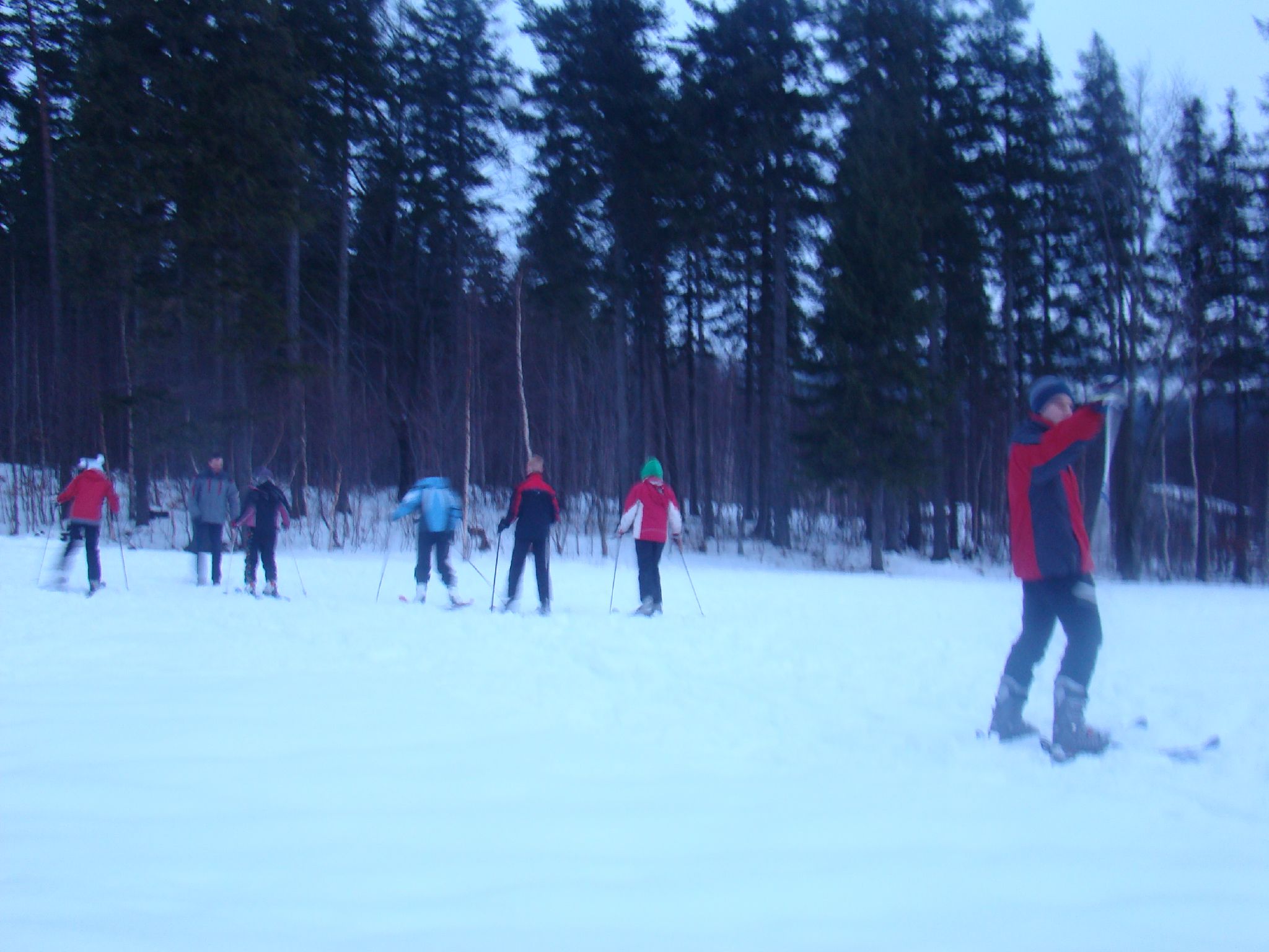 people skiing in the snow in the middle of the woods