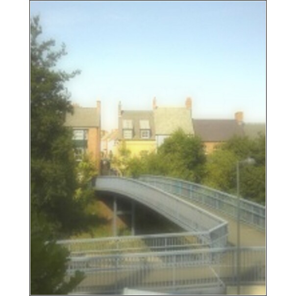 an elevated bridge crossing over a river surrounded by trees