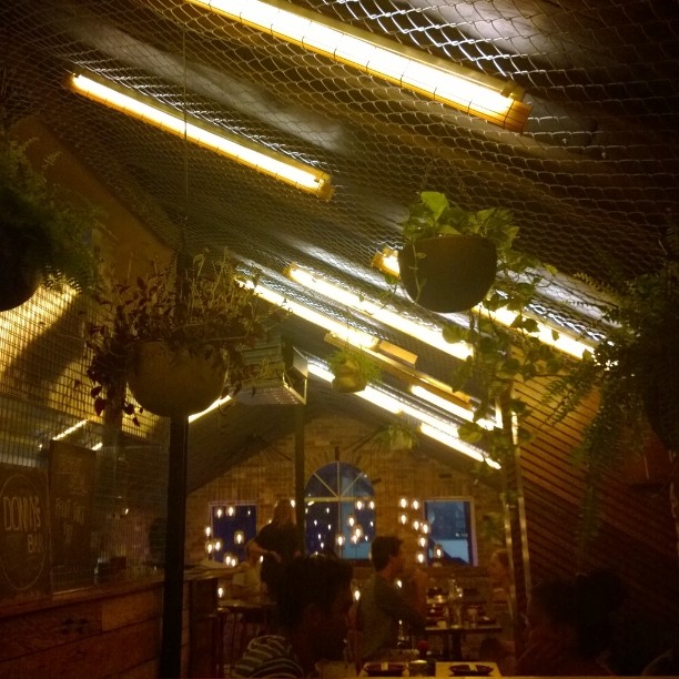 several hanging plants and lights are lit up in the interior of a restaurant