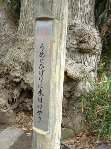 a wooden sign with asian writing standing in front of a tree