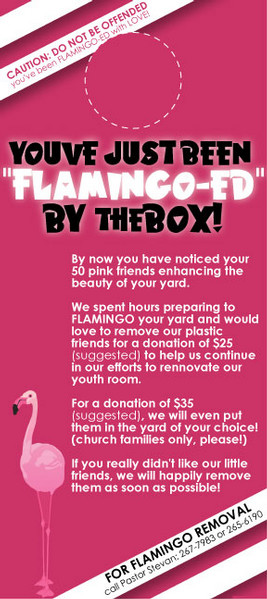 a flamingo - colored postcard for the new york based ad campaign, you've just been flame - o - ed by the box