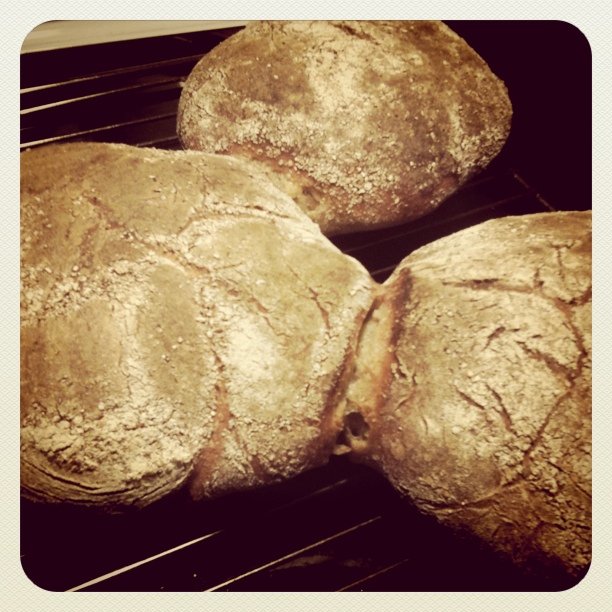 some kind of bread cooling on a rack