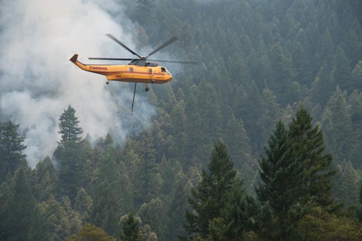 the helicopter is flying low over a forest