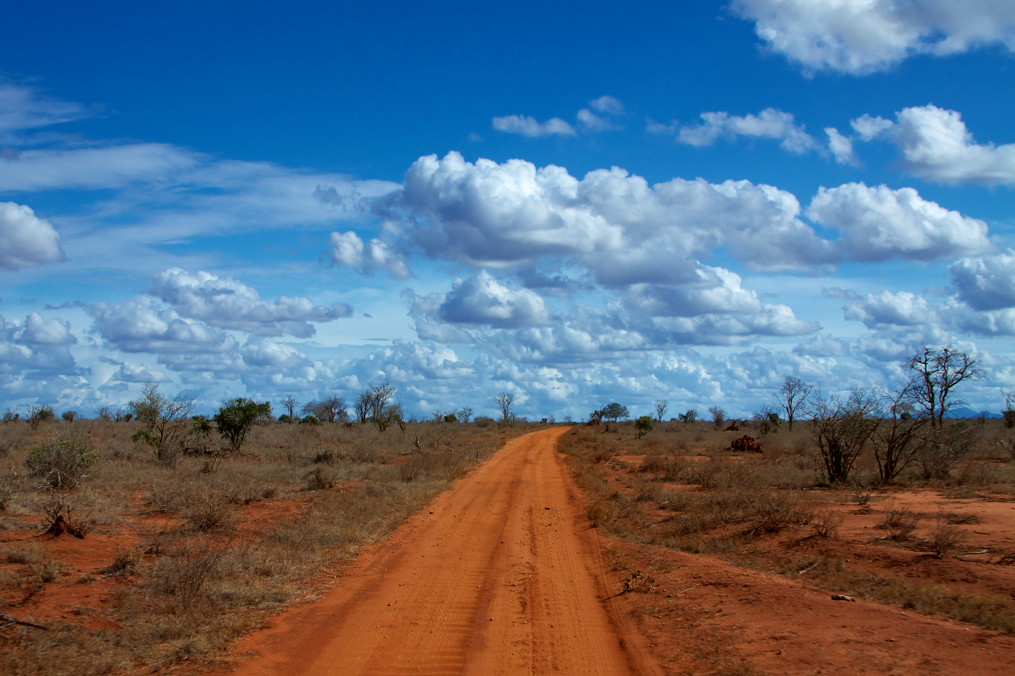 an old dirt road with some trees in the background