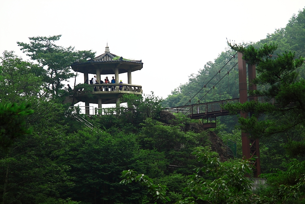 some people standing on a walkway in front of some trees