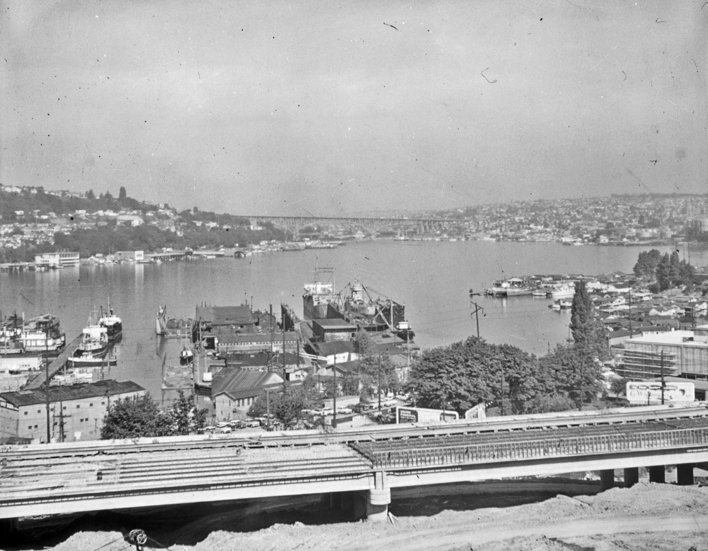 a black and white po looking across the water