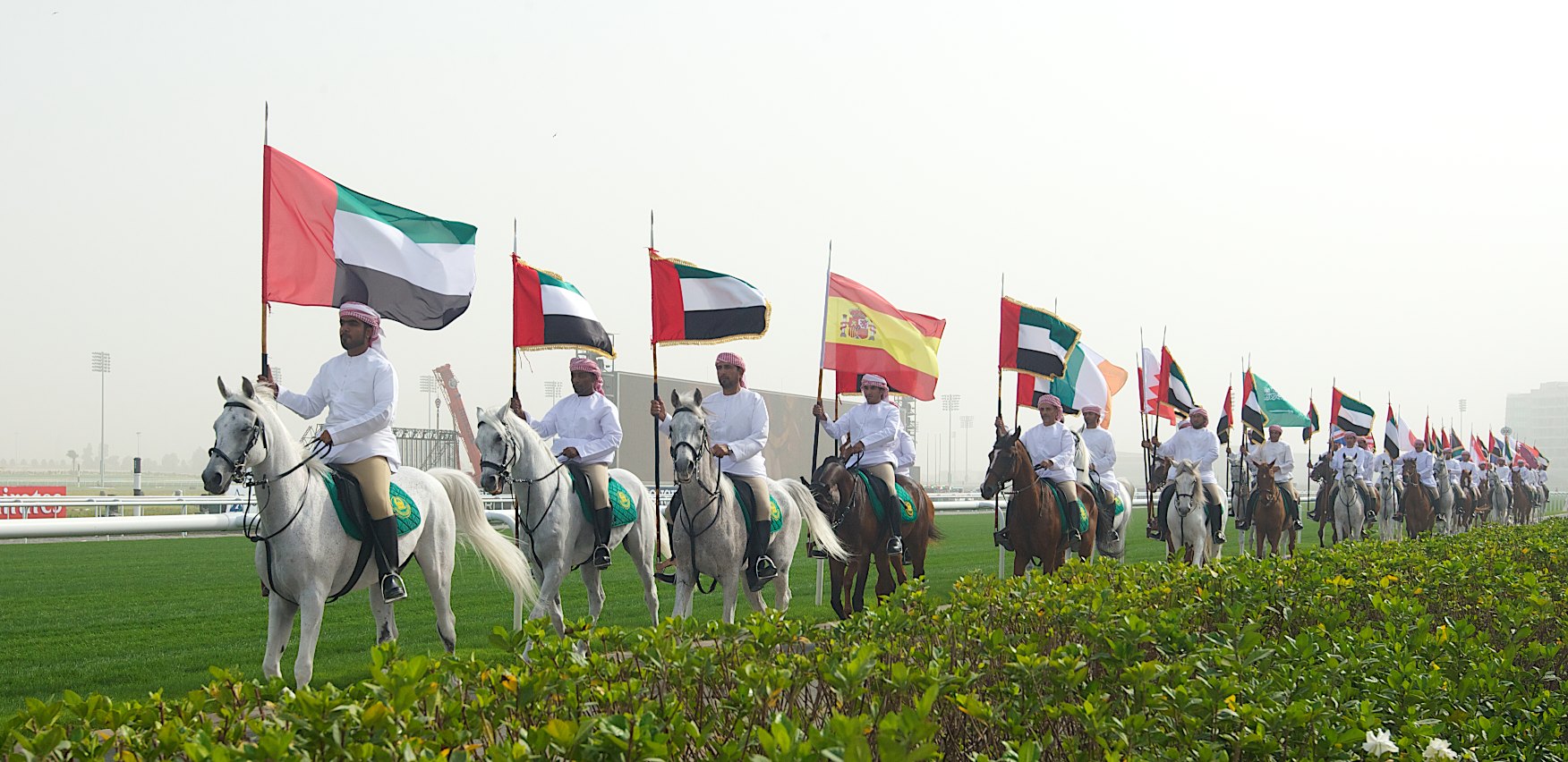 several men on horses holding flags walking on grass