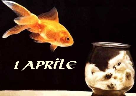 goldfish jumping up from fish bowl to another fish with caption that reads i april
