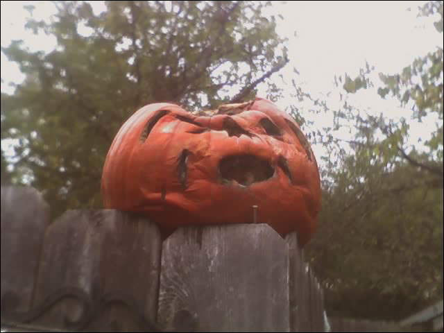 a pumpkin sitting on top of a wooden fence