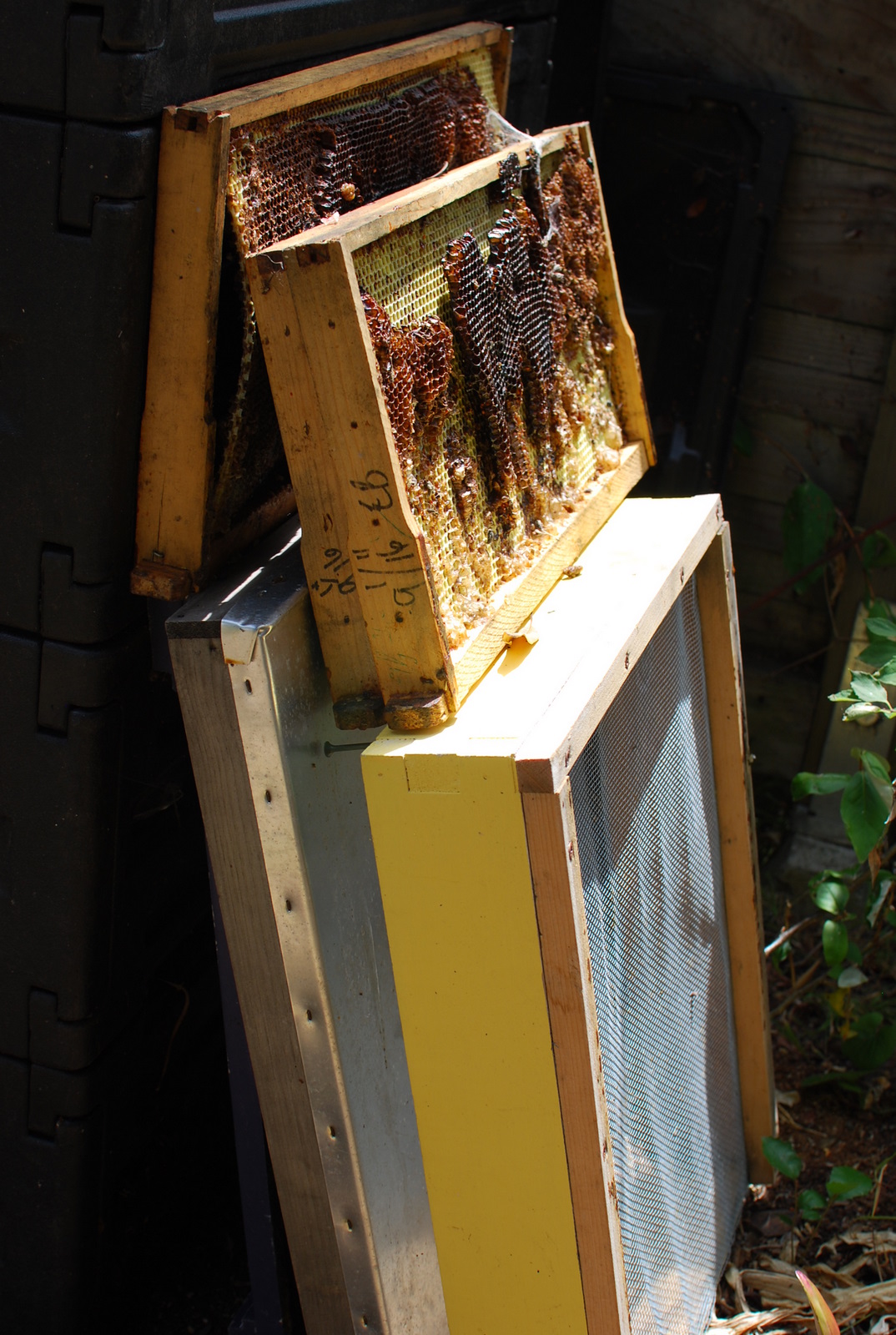 an old beehive with many bees inside it