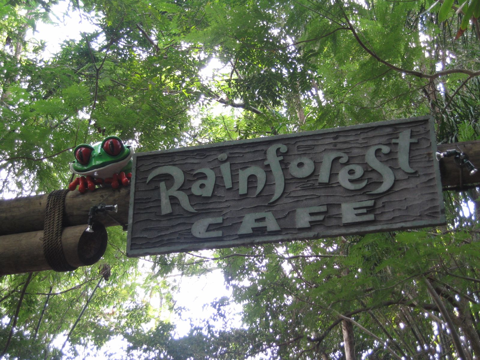 a sign that says rainforest cafe on top of a post