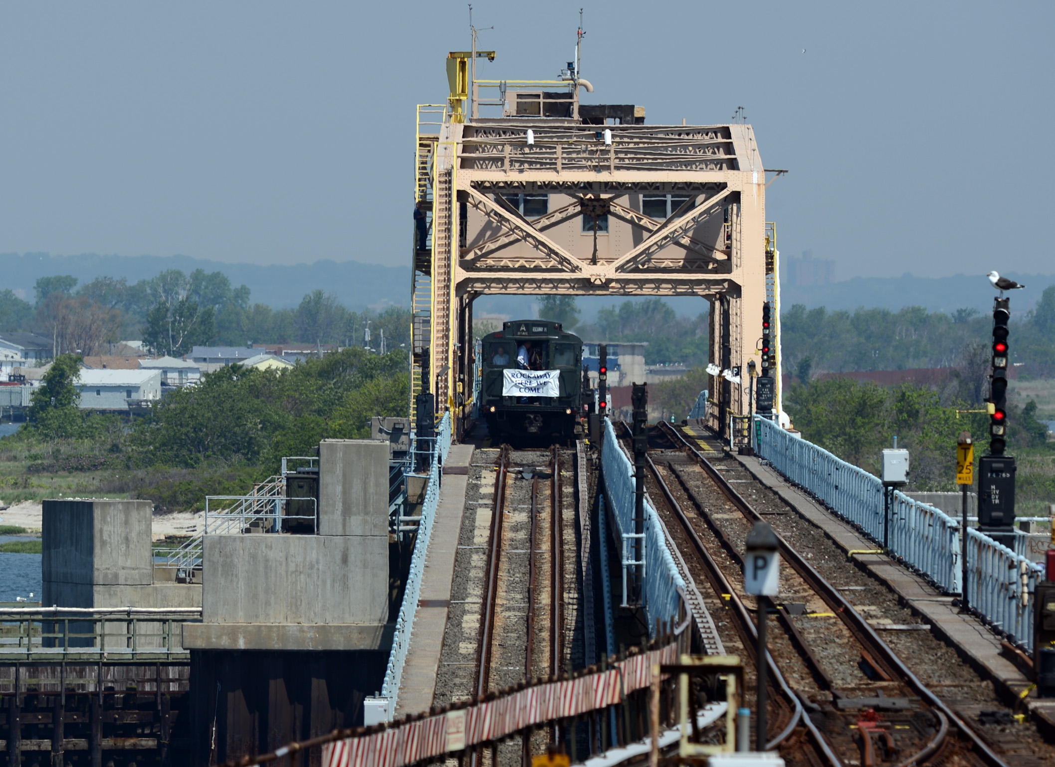 a train passes under a tall bridge that is surrounded by trees