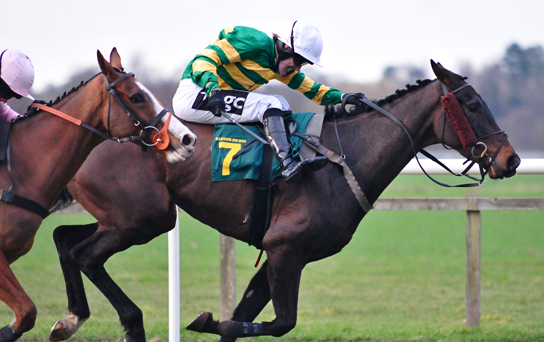 two people riding horse through an obstacle course