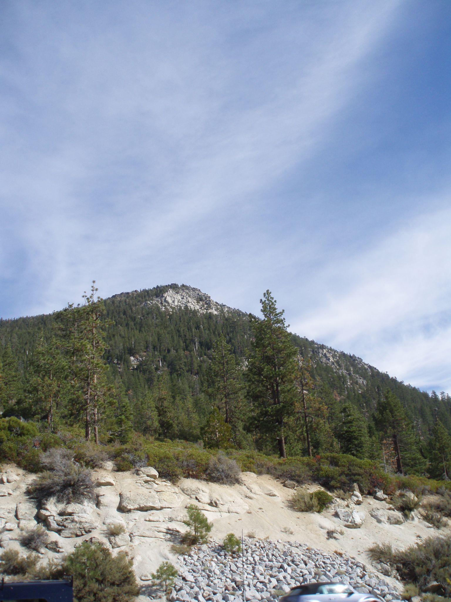 a hill in the background with lots of rocks and trees