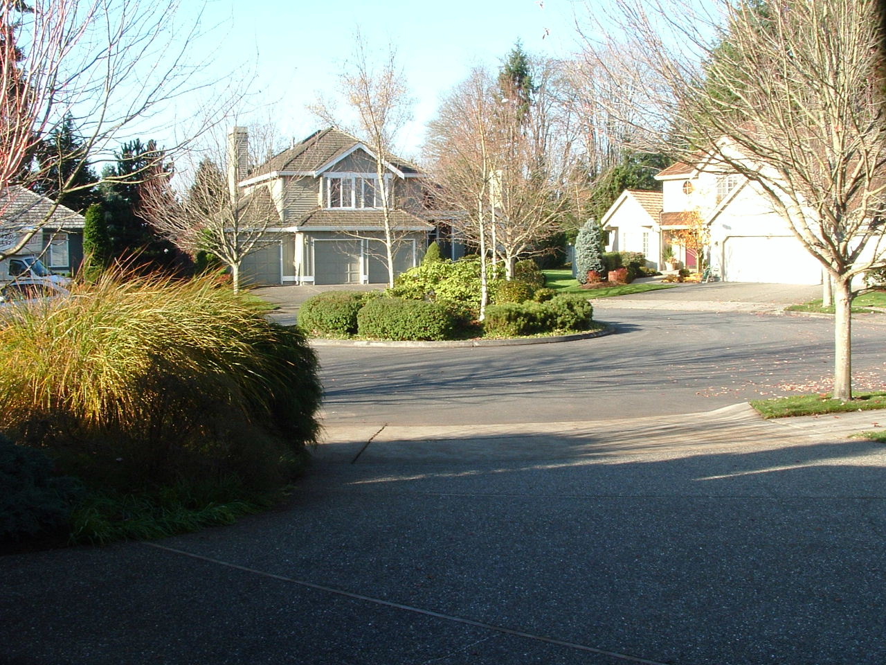 there are houses on this street by the grass