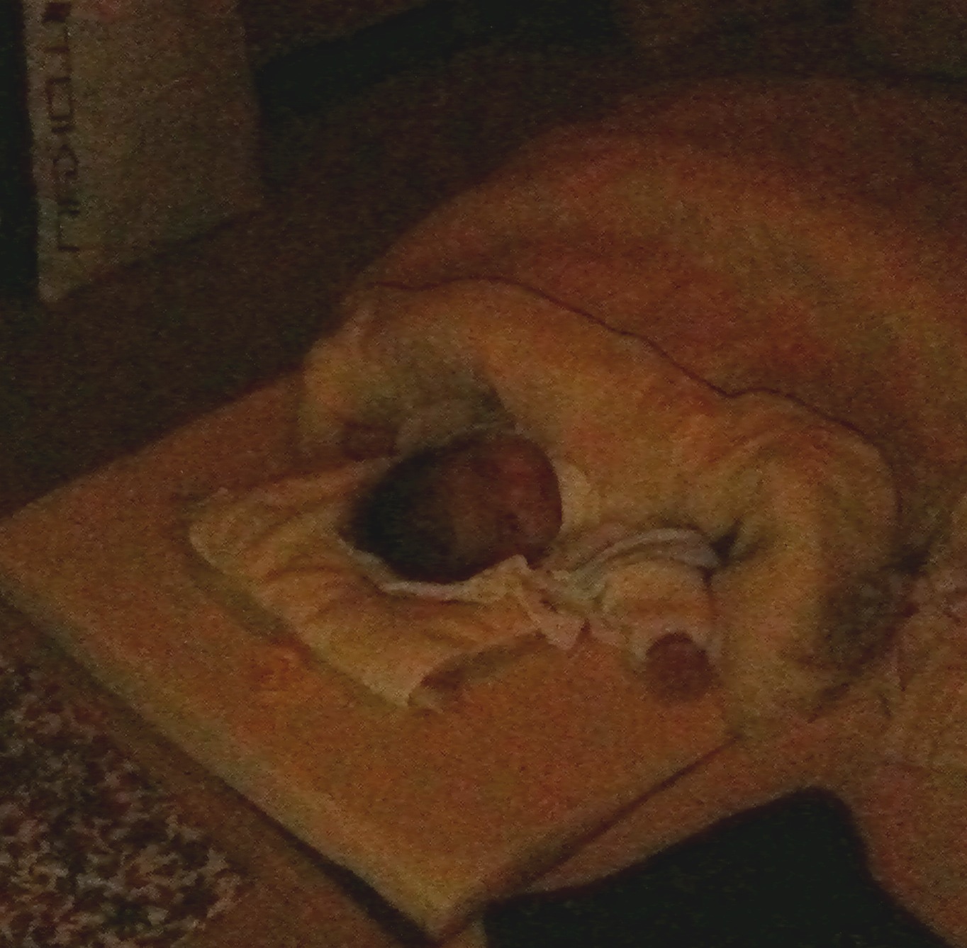 a small child asleep on a pillow under a blanket