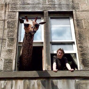 a woman is staring out of an open window at a giraffe