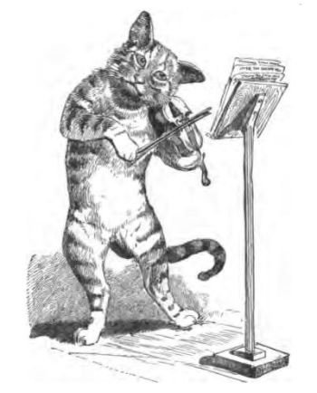 a cat playing the violin is standing on its hind legs