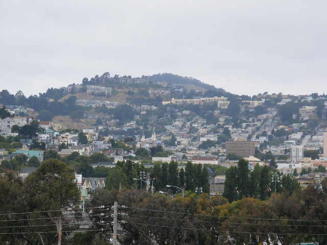 view of city, buildings and trees from hill top