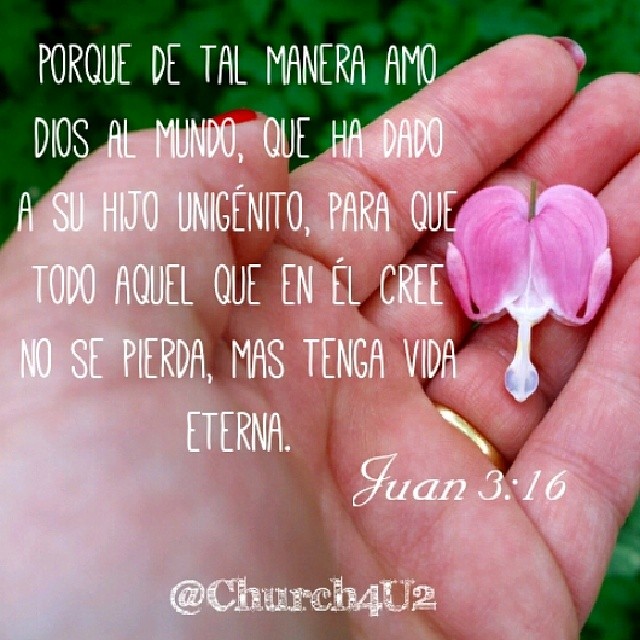 a pink flower with words above it is written in spanish