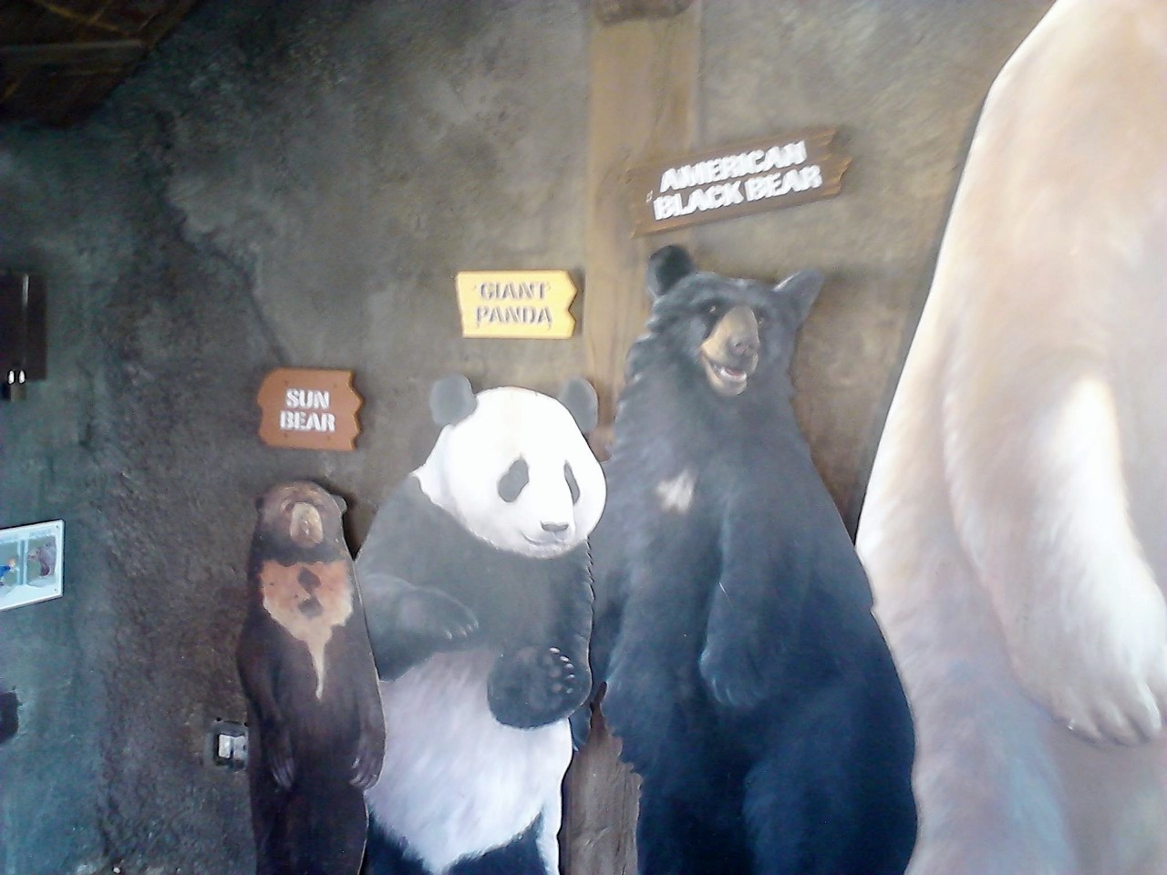 several stuffed bears are standing in the store display