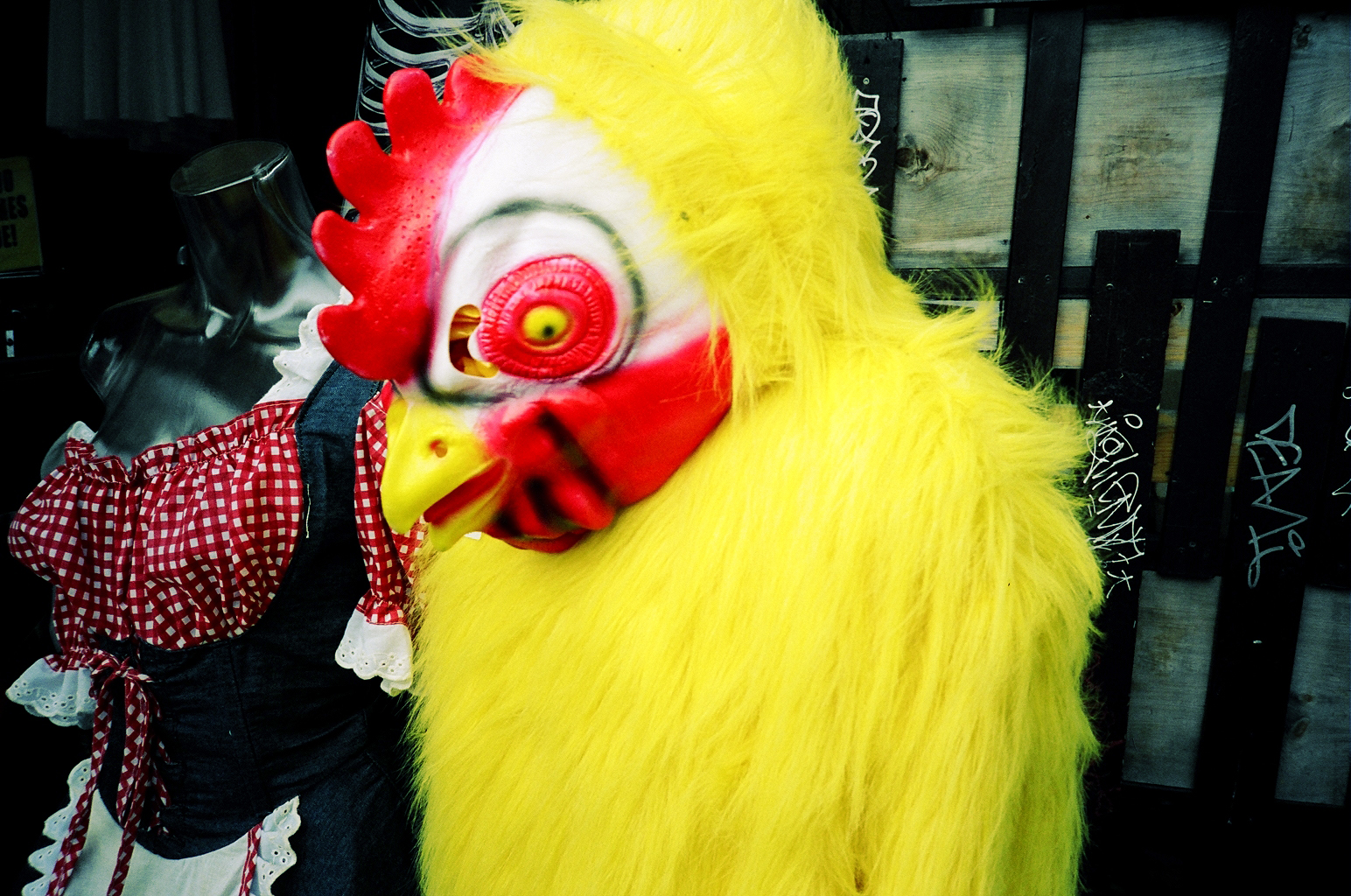 three mannequins with bright yellow feathers dressed in chicken costume