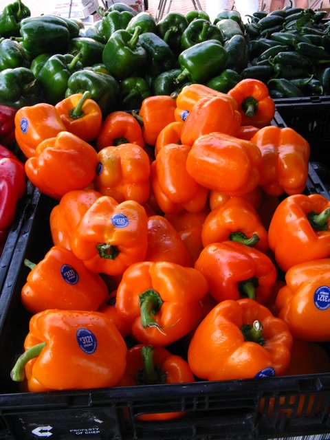 several rows of peppers in plastic boxes on a shelf