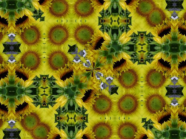 a background of yellow sunflowers with green leaves