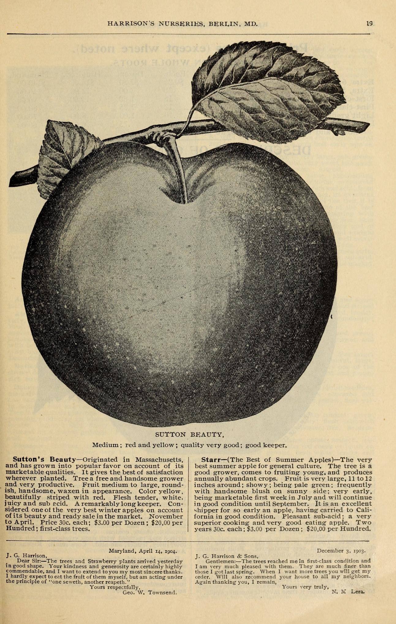 an old apple is depicted in this book